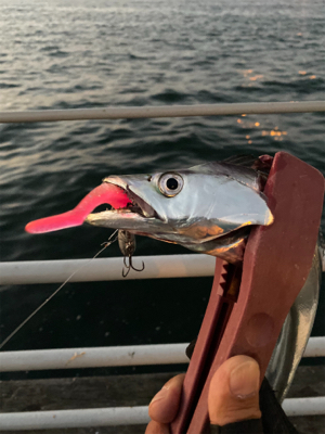 まさにユウレイ?