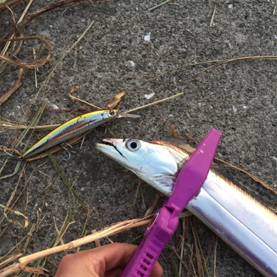 F4オーバー‼︎！イケア裏好調！