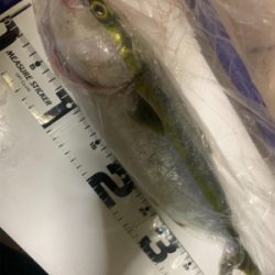 ガツンとアタリが欲しくて❗️