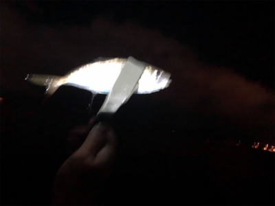 メバル自己記録更新！