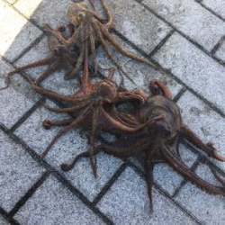 再び修行の日々へ