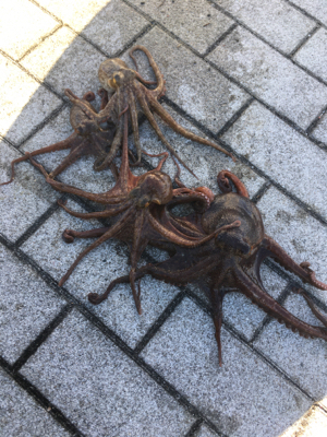 再び修行の日々へ