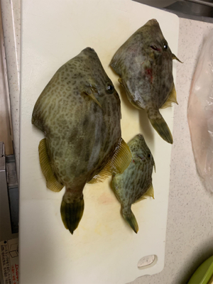 カワハギ乗り合い船