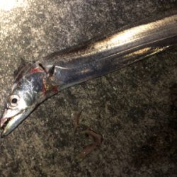 やっぱりホームエリア(^^)