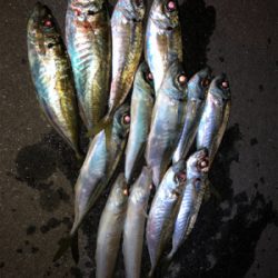 今回は初めての場所へ