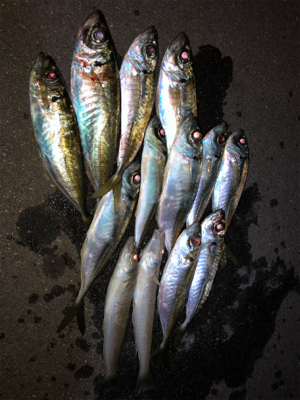 今回は初めての場所へ