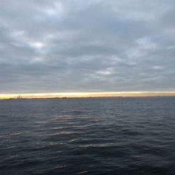 神戸湾奥シーバス