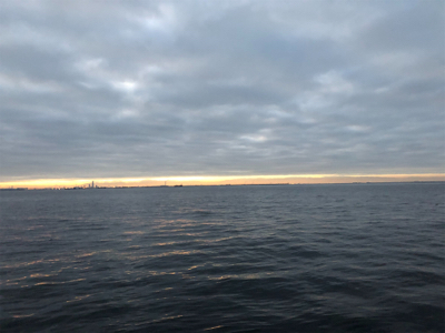 神戸湾奥シーバス