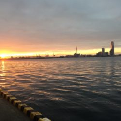 朝マズメの短時間釣行