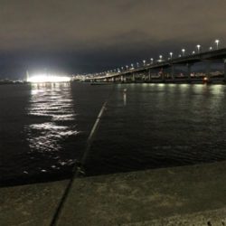 朝タチウオ狙いに…