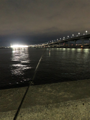 朝タチウオ狙いに…