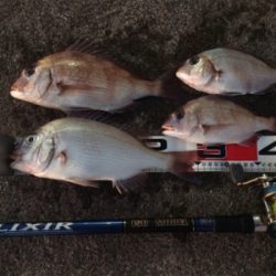 時合いはほんの1時間