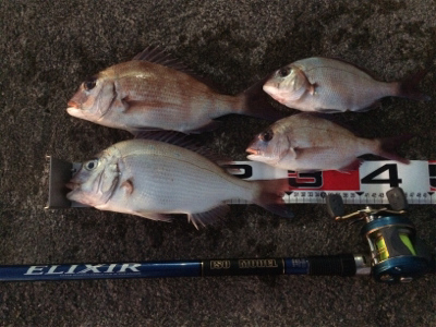 時合いはほんの1時間