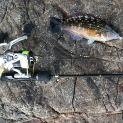 淡路サーフアジング