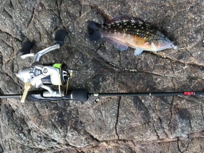 淡路サーフアジング