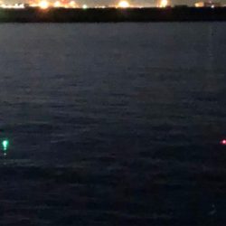 マズメの陸っぱりドラゴン(^^)