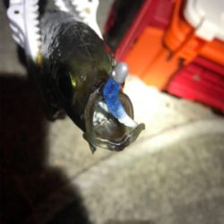 夕マヅメアジング