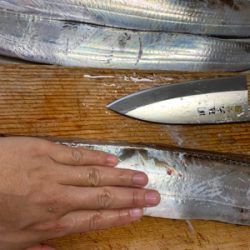 2年ぶりのオフショア