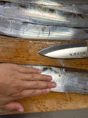 2年ぶりのオフショア