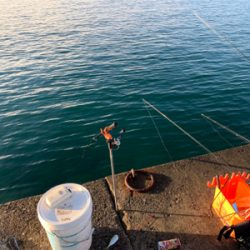 久しぶりの南紀方面釣行