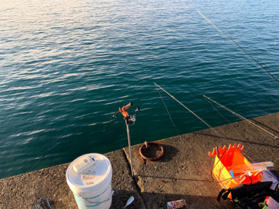 久しぶりの南紀方面釣行