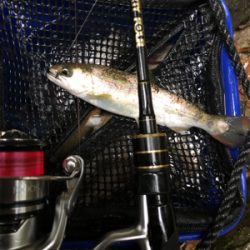 釣れるけど考えて試行錯誤