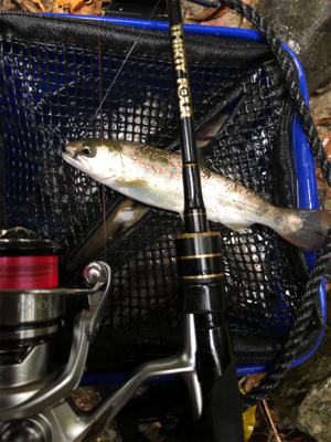 釣れるけど考えて試行錯誤