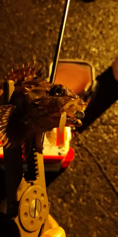 アジング練習 67