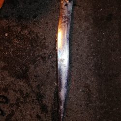 舞洲サーベリング