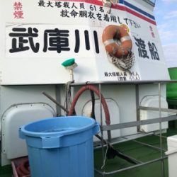 アジ泳がせ初体験