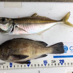 朝夕のダブルヘッダー(^.^)