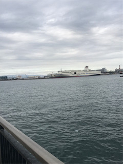 のませハマチング