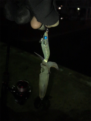 今日もヒイカ釣り(^.^)