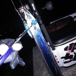 初めての沖堤防で太刀魚青物を求めて