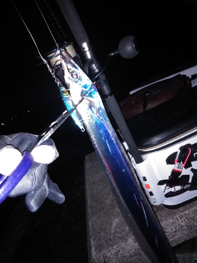 初めての沖堤防で太刀魚青物を求めて