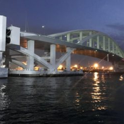 サビキだけ好調^ ^