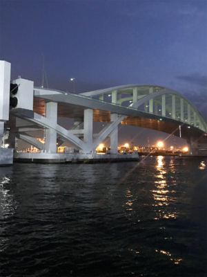 サビキだけ好調^ ^