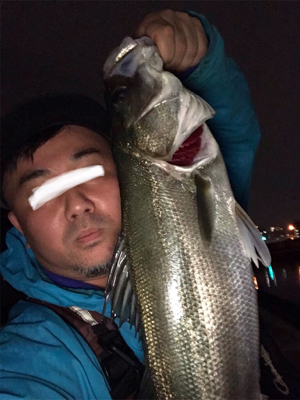 いつものどぶ川シーバス!