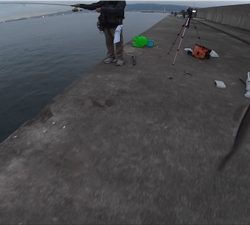 タチウオワインドinアマぴー