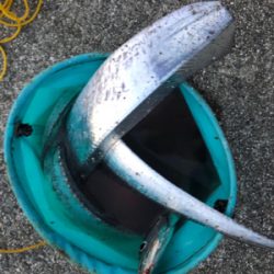 ジグタチ三昧(^^)