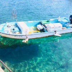 寒いが釣果は熱い