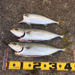 ミラクルダブル