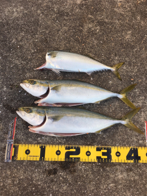 ミラクルダブル