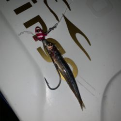 朝まづめ出勤前の朝練