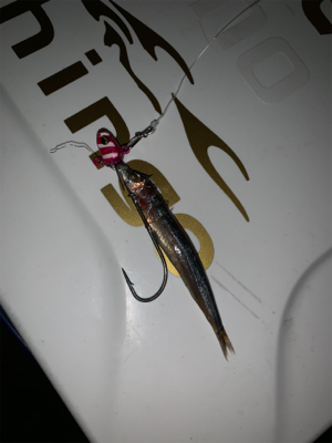 朝まづめ出勤前の朝練