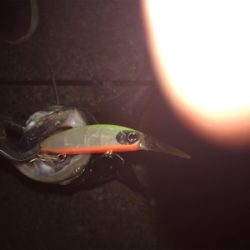 喉の奥までガッツリ