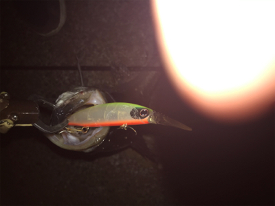 喉の奥までガッツリ