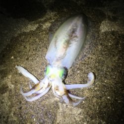 大汗かきました