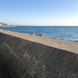 真夜中ワインド