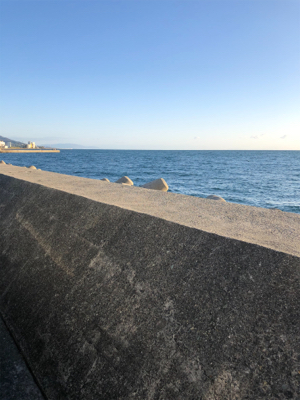 真夜中ワインド